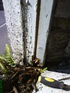 edencottages - 5496.JPG